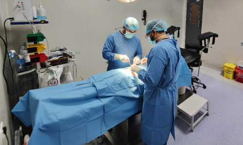 Untitled design - 2026-02-24T175347.346