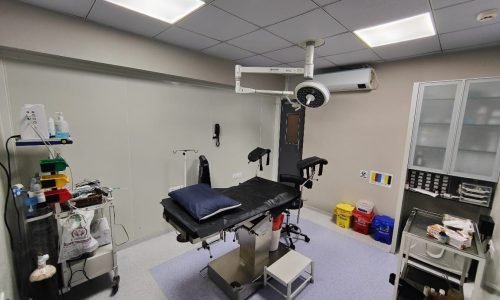 WhatsApp Image 2026-02-11 at 12.57.33 PM