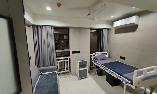 WhatsApp Image 2026-02-11 at 12.57.34 PM